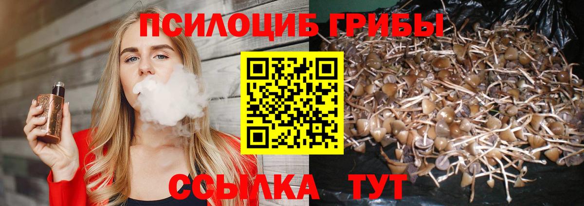 хочу   Псилоцибиновые грибы Psilocybine cubensis  Лесной  Вход с VPN  Псилоцибиновые грибы ЛСД 
